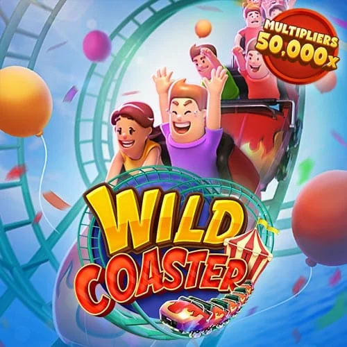 Wild Coaster review - 1